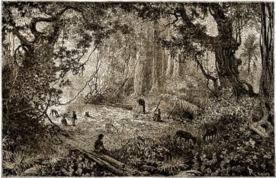 Installation af en opdagelsesrejsendes lejr i Guatemala (1882) af Edouard Riou