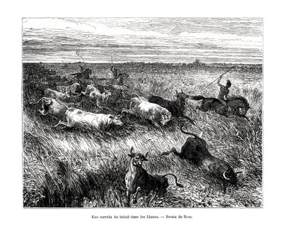 Husdyr, Los Llanos, Venezuela, 1800-tallet af Edouard Riou