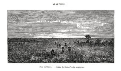Los Llanos, Venezuela, 1800-tallet af Edouard Riou