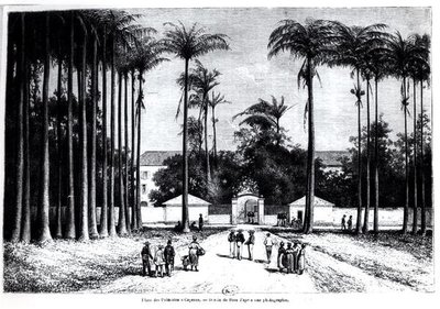 Place des Palmistes, Cayenne, Guyana af Edouard Riou