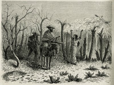 The Clouds of Grasshoppers of the Vallee du Upper Patia, med på sit muldyr rejsefortælleren, gravering af Riou, for at illustrere historien L