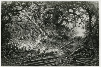 Udnyttelsen af mahogni i Andes-skovene. Gravering af Riou, for at illustrere historien "" Rejsen til Yucatan og Lacandons land "", i 1882, af Desire Charnay (1828-1915) arkæolog og fotograf. Udgivet i Tour du monde nou af Edouard Riou