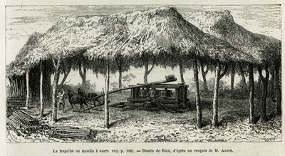 Trapichen eller sukkermøllen til at male stokkene i Panche (Colombia), tegning af Riou, for at illustrere historien om Equinoxiale America (Colombia, Ecuador, Peru), i 1875-1876, af Ed. andre, rejsemissionsafgift fra den franske regering. Indgravering i Le af Edouard Riou