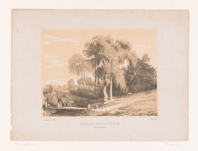 Landschapsstudie (titel på objekt) af Edouard Taurel