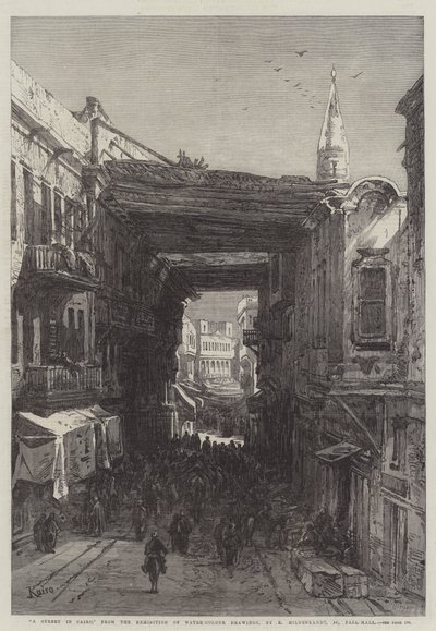 En gade i Cairo af Eduard Hildebrandt