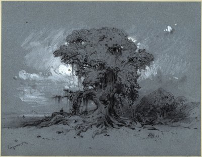 Gammelt træ af Eduard Hildebrandt