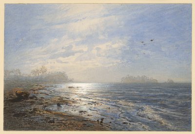 Burmas kyst af Eduard Hildebrandt