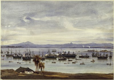 Udsigt over Rio de Janeiro af Eduard Hildebrandt
