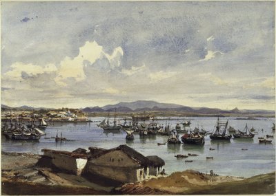 Udsigt over Rio de Janeiro af Eduard Hildebrandt