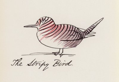 Edward Lear, The Bird Book: The Stripy Bird (farve litho) af Edward (after) Lear