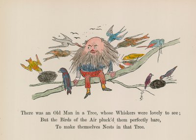Der var en gammel mand i et træ, hvis knurhår var dejlige at se (farvelagt gravering) af Edward (after) Lear