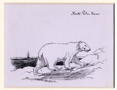Isbjørn, ca. 1905 (blæk på papir) af Edward Adrian Wilson