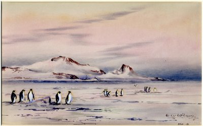 The Discovery Winter Quarters, ca. 1901-04 (wc på papir) af Edward Adrian Wilson