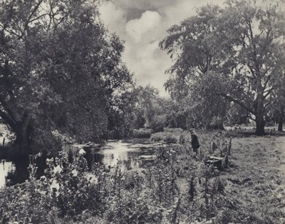 En afbrudt frokost (s/h-foto) af Edward Alfred Barton