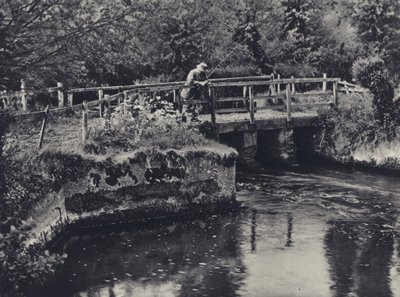 Ved Burcombe på Nadder (s/h-foto) af Edward Alfred Barton