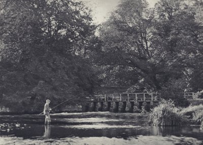 Fjorten luger på Nadder (s/h-foto) af Edward Alfred Barton