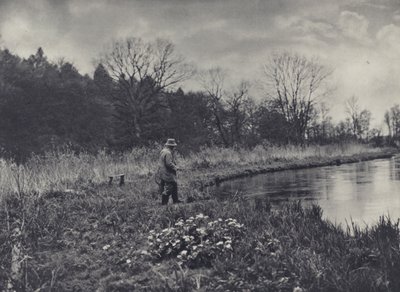Forårets første kongekroner (s/h-foto) af Edward Alfred Barton