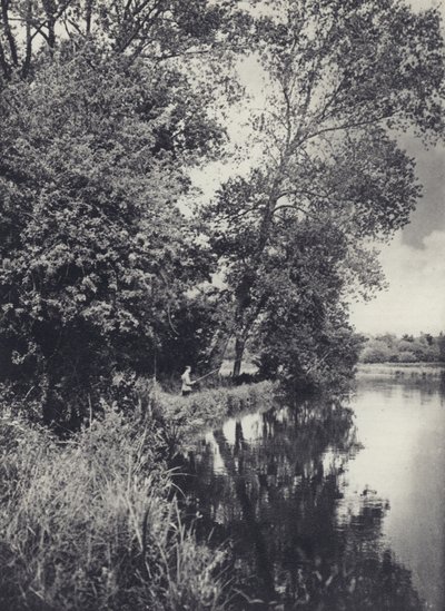 Under de store popler ved Houghton-vandet (s/h-foto) af Edward Alfred Barton