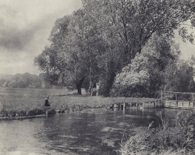 Vinden i piletræerne, Abbot