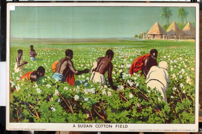 A Sudan Cotton Field, fra serien 
