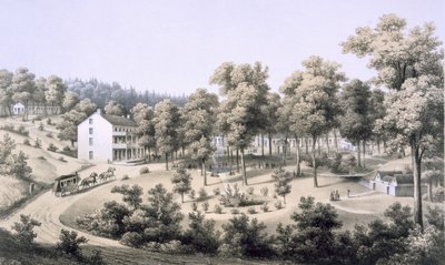 Stribling Springs, Spa Village, Augusta Country, 1858 af Edward Beyer