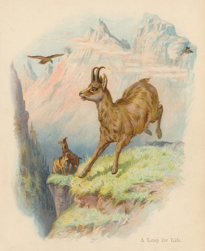 Et spring for livet (farvelitografi) af Edward Brice Montefiore