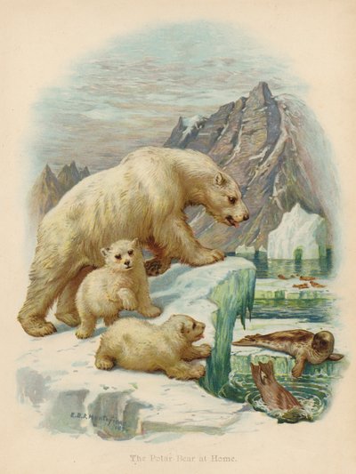 Isbjørnen derhjemme (farvelitografi) af Edward Brice Montefiore