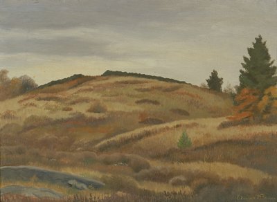 Autumn Fields, ca. 1926-1934. af Edward Bruce