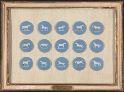 Horse Studies in Relief, efter George Stubbs af Edward Burch