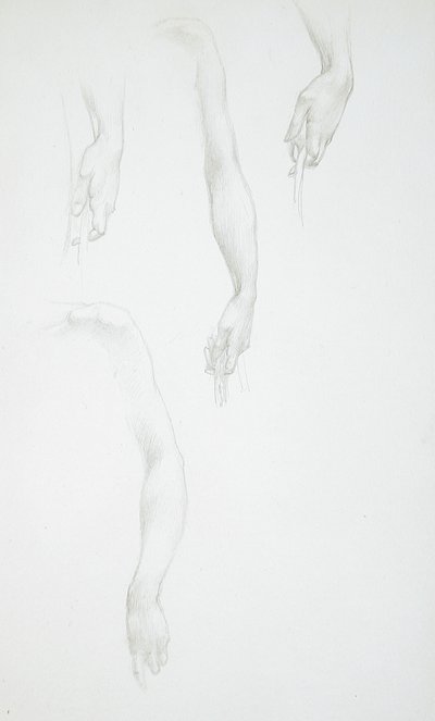 Studier af arme og hænder (forsiden); Studie af en kvindelig torso (bagsiden) af Edward Burne-Jones