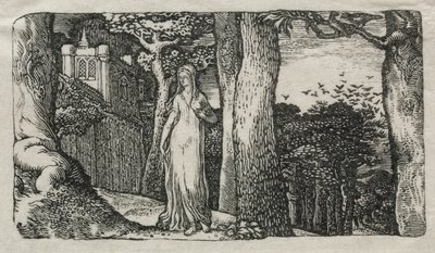 Lady and the Rooks af Edward Calvert