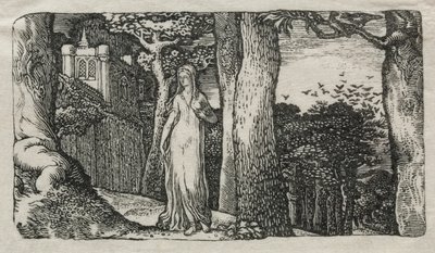 The Lady and the Rooks, 1829. af Edward Calvert