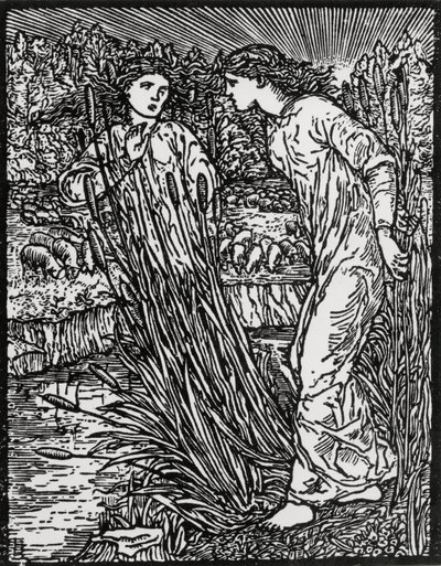 Det gulduldede fårs opgave af Edward Coley (after) Burne Jones