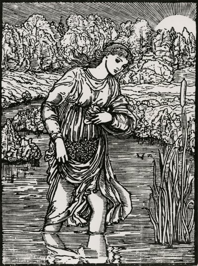 Reeds Opgave af Edward Coley (after) Burne Jones