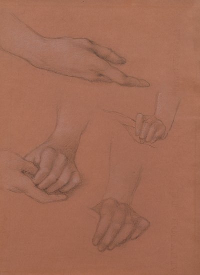 Studies of Hands for the Portrait of Mary Gaskell (sort-hvidt kridt på papir) af Edward Burne Jones