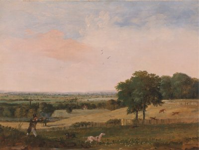 Agerhønsskydning af Edward Duncan