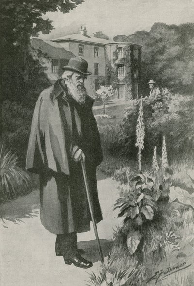 Charles Darwin i sin have ved Down House (litho) af Edward Frederick Skinner