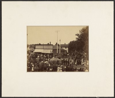 [Elefanter går gennem byen, Maple City] af Edward H. Hart