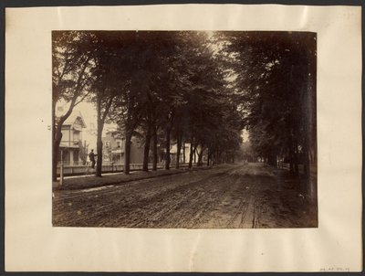 [Tree Lined Street] af Edward H. Hart