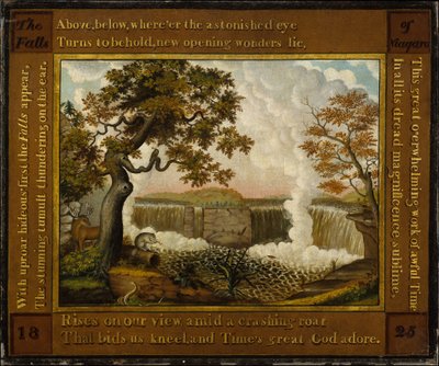 Die Niagarafälle af Edward Hicks