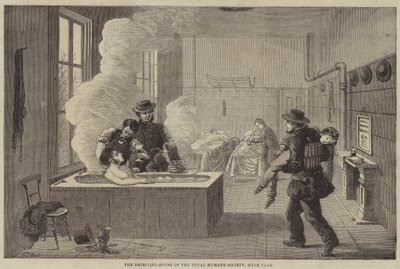 The Receiving-House of the Royal Humane Society, Hyde Park af Edward Hull