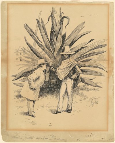 Kaktus fra Mexico af Edward Kemble