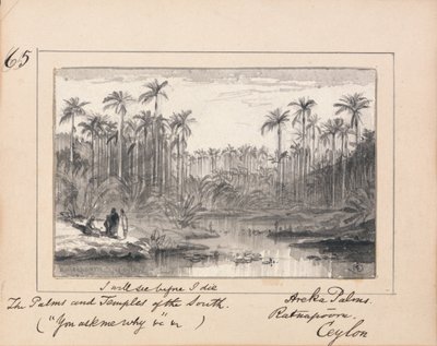 Areka Palms, Ratanapooru, Ceylon - `Jeg vil se, før jeg dør Sydstaternes palmer og templer