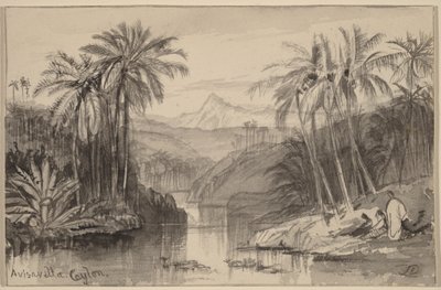 Avisavella, Ceylon af Edward Lear