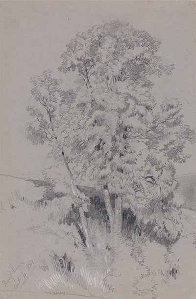 Burpham 4. oktober 1834 af Edward Lear