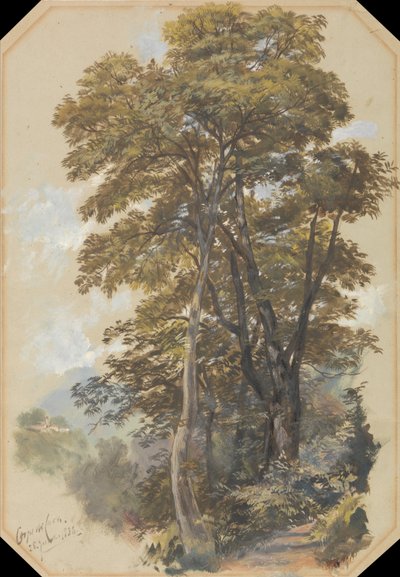 Stenbrudskorpset, 28. juni 1838 af Edward Lear