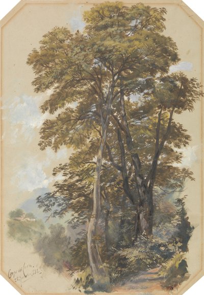Corpo di Cava, 28. juni 1838 af Edward Lear