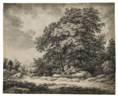 Skovlandskab af Edward Lear