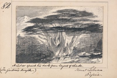 Illustration til Tennysons »The Gardener’s Daughter«: Libanonbjerget, Syrien – »En ceder spredte sine mørkegrønne skyggefulde lag« af Edward Lear