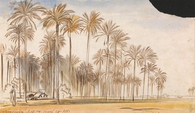 Kourayim af Edward Lear